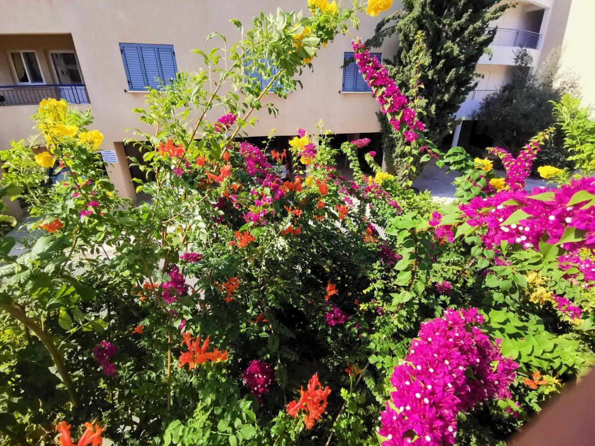 103 Regina Gardens Διαμέρισμα Πάφος Εξωτερικό φωτογραφία